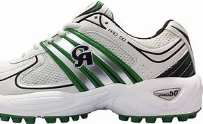 Image result for Cricket Sports Shoes Pic