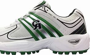 Image result for Cricket Sports Shoes for Men
