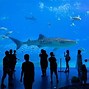 Image result for Largest Aquarium