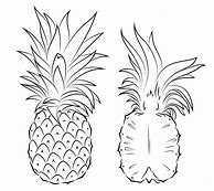 Image result for Pineapple Coloring