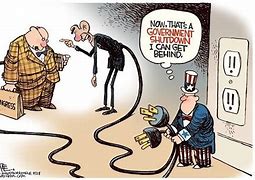 Image result for Local Government Cartoon