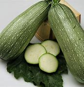 Image result for White Grey Zucchini Squash