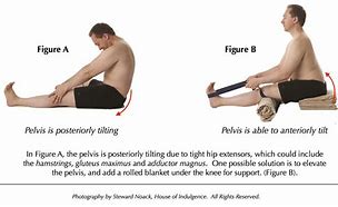Image result for Lower Back Toning Exercises