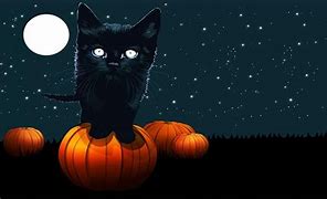 Image result for Cute Pumpkin Black Cat
