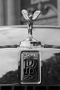 Image result for Rose Gold Car Emblem