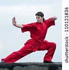 Image result for Types of Kung Fu Styles