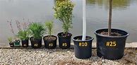Image result for 30 Gallon TreeSize