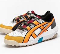 Image result for Tiger Trainers