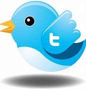 Image result for Logo Twitter Bird Icon