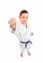 Image result for Seremban Aikido