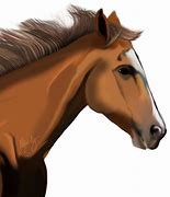 Image result for Horse Pic PNG