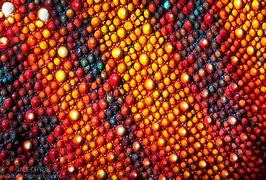 Image result for Grainy Texture Skin