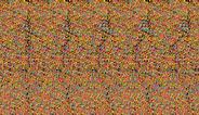 Image result for Invisable Dot Illusion