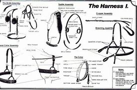 Image result for Harness Draft Hook