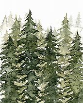Image result for Pine Tree Artwork Prints
