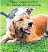 Image result for Funny Quotes About Dogs and Cats