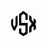 Image result for VSX Gaming Logo