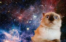 Image result for My Free Wallpapers for Desktop Funny