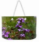 Image result for Purple Wildflower Case