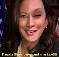 Image result for Kamala Harris Dress