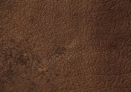 Image result for Saddle Leather Texture