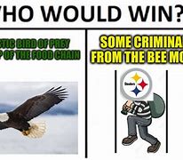 Image result for Steelers Eagles Memes