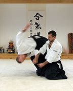 Image result for Aikido vs Hapkido
