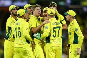 Image result for 2015 Cricket World Cup