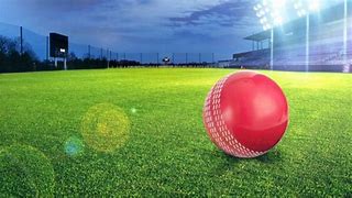 Image result for Cricket Betting Exchange
