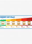 Image result for Cat Weight Chart OH Lawd He Comin