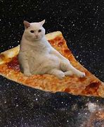 Image result for Pizza Funny Meme Cat