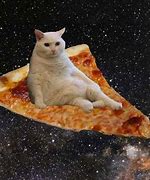 Image result for Funny Meme with Cat and Pizza