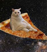 Image result for Cat Poop On Pizza