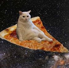 Image result for Cat Pizza Meme Swiftonsecurity