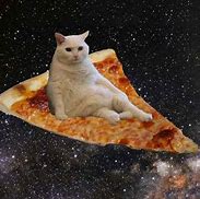 Image result for Pizza Rave Cat Meme