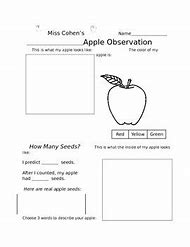Image result for Apple Observation Worksheet