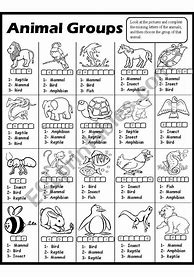 Image result for Types of Species 8th Grade
