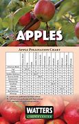 Image result for Discovery Apple Tree Pollination