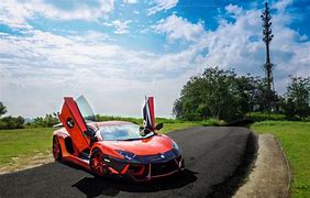 Image result for Orange Lamborghini in Grass