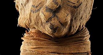 Image result for Mummy Exhibit