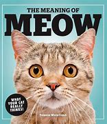 Image result for Meow Book