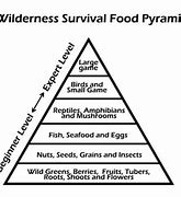 Image result for Paleo Food Pyramid