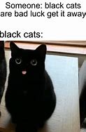 Image result for ERM Actually Meme Cat