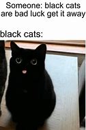 Image result for Cat. Emoji Meme
