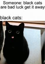 Image result for Cat Eat Meme
