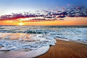 Image result for Florida Beaches Swimming