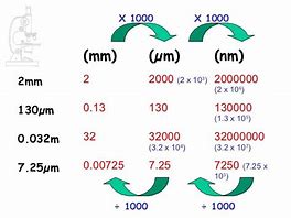 Image result for Measurement of a Figure Cell Phon