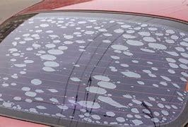 Image result for Window Tint Bubbles