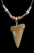 Image result for Fossilized Shark Teeth Necklace