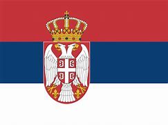 Image result for Serbian Flag